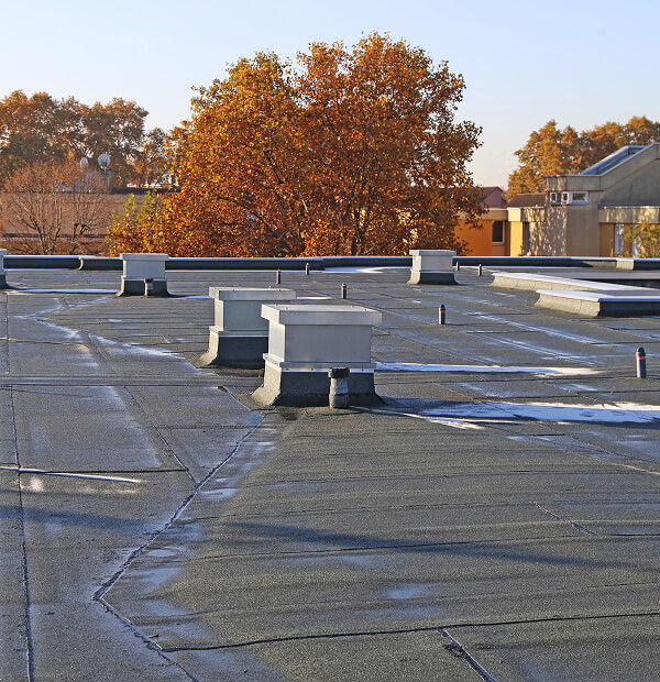 Commercial flat roof with vents, surrounded by fall trees; ideal for large-loss restoration and commercial reroofing.