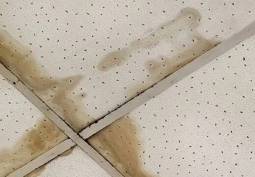 Ceiling tiles showing brown stains and discoloration from flat roof water damage, common in large-loss commercial roofing restoration.