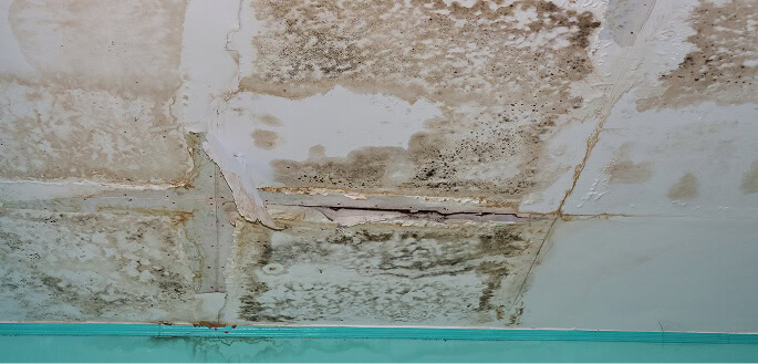 Commercial roofing ceiling with severe cracks, mold, and water stains needing large-loss recovery.