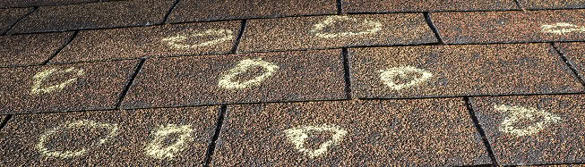 Commercial roofing shingles marked for storm damage restoration and large-loss recovery.